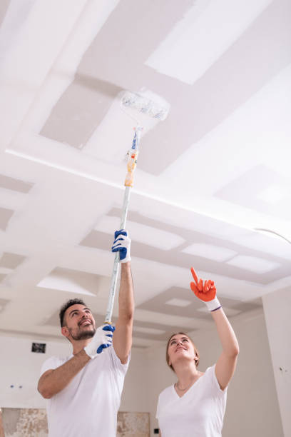 Best Ceiling Drywall Installation  in Bertsch Oceanview, CA